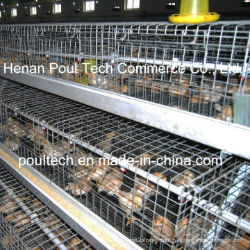 Poul Tech Chick Brood Cage